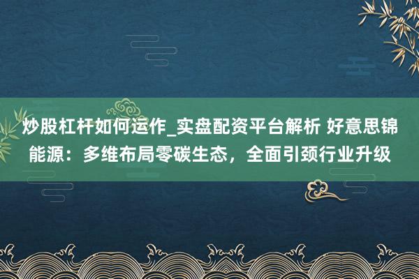 炒股杠杆如何运作_实盘配资平台解析 好意思锦能源：多维布局零碳生态，全面引颈行业升级